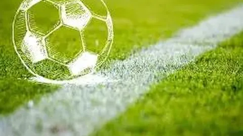 李亚鹏携窦靖童亮相红毯，父女情深默契满满