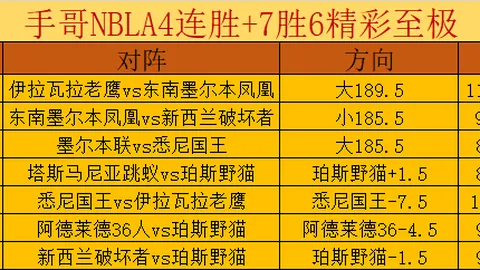2029年国家数据基础设施及运营体系全面成型